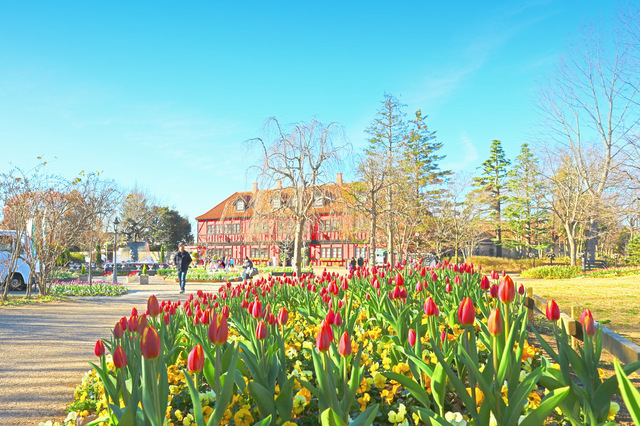 船橋　アンデルセン公園