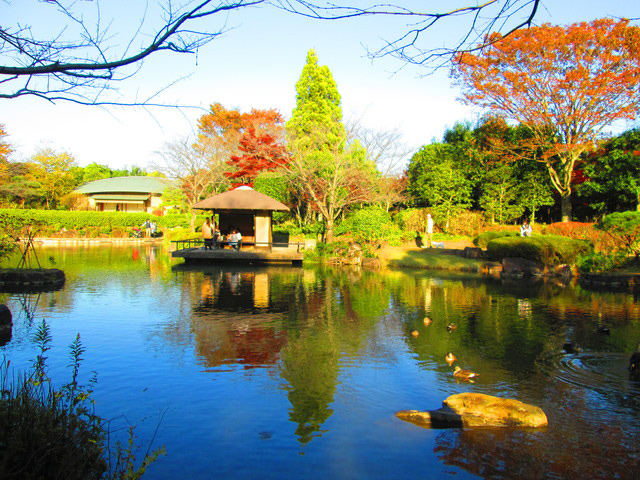 千葉県立柏の葉公園