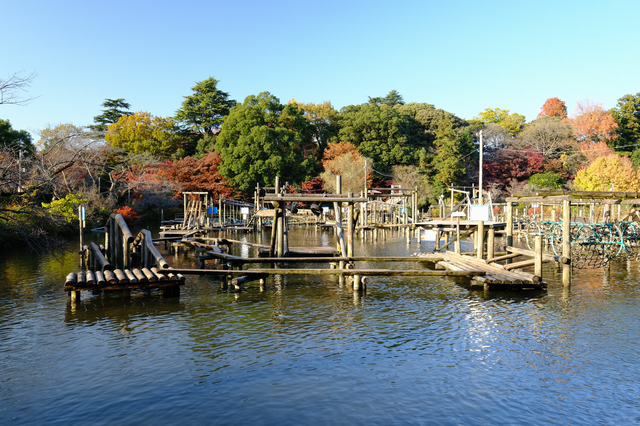 野田　清水公園